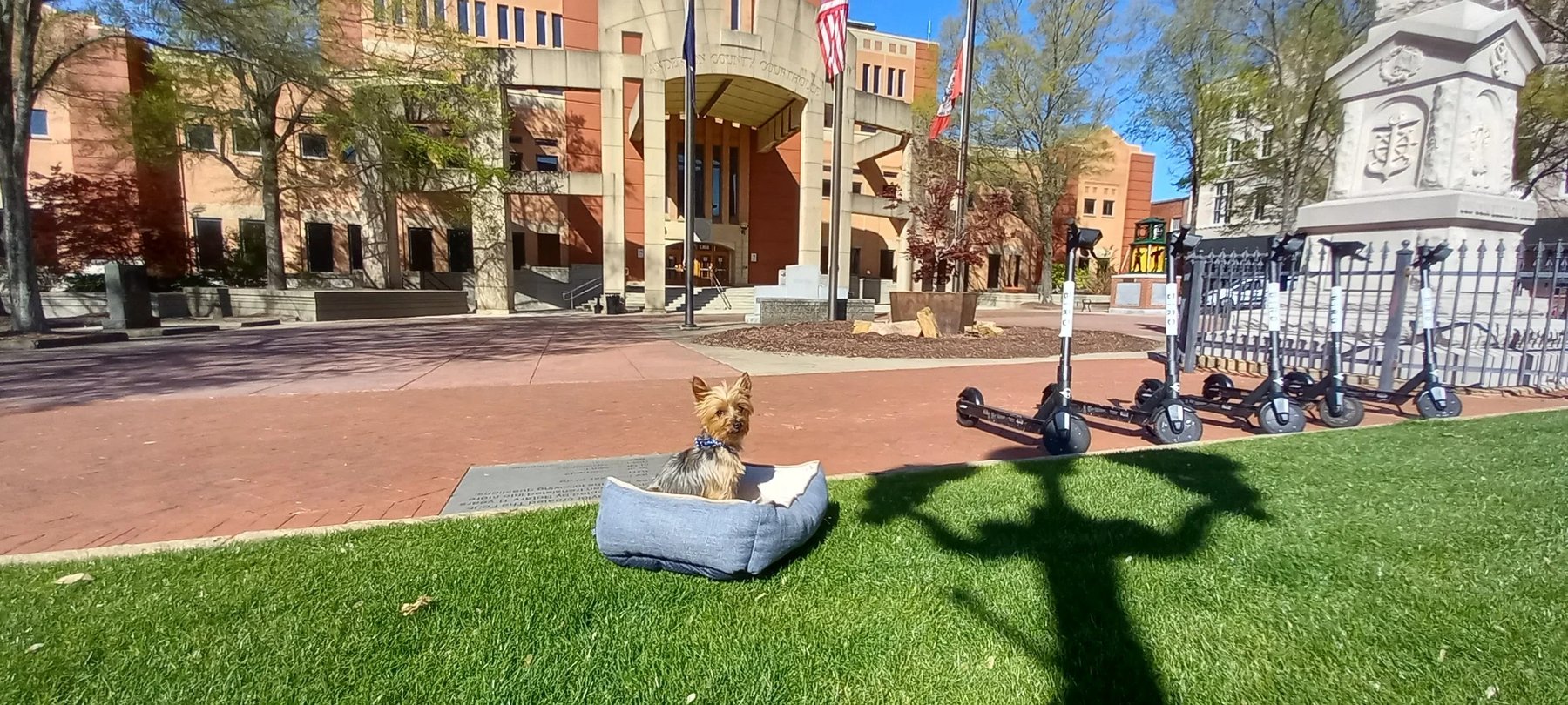 Clemson Canine Academy, LLC