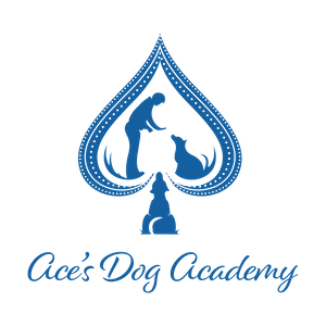 Ace’s Dog Academy logo