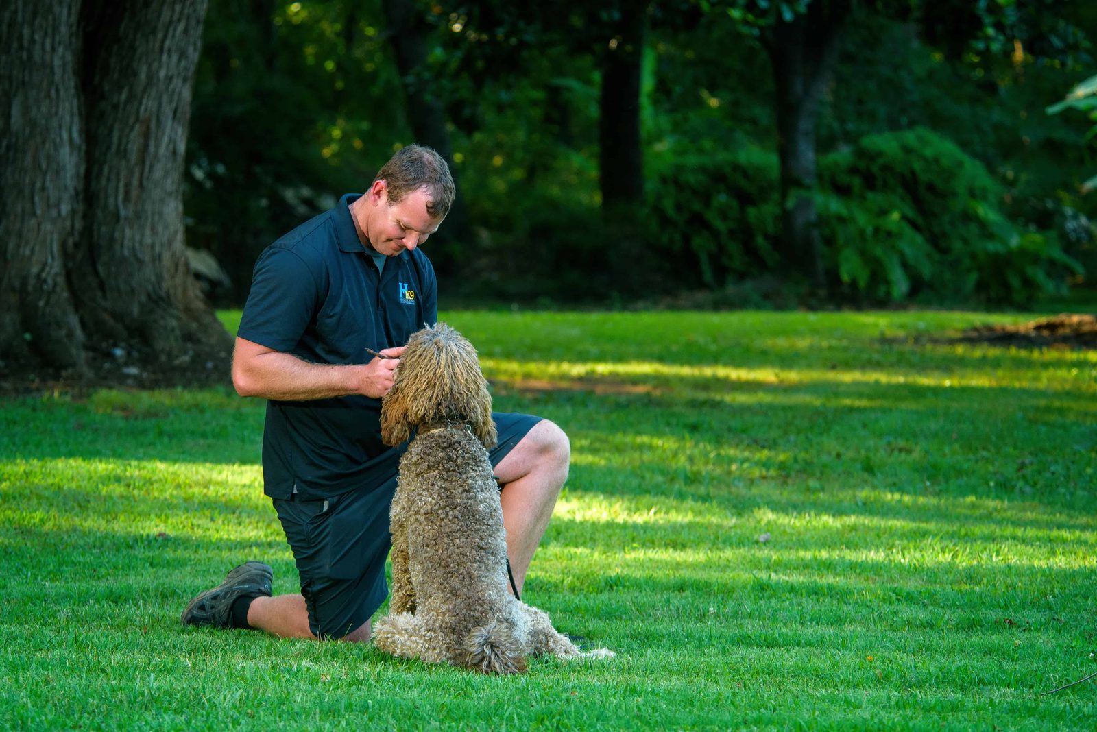 Highland Canine Training – Wilkesboro