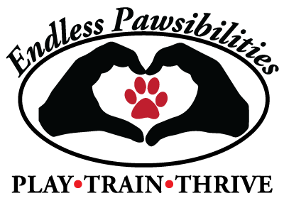 Endless Pawsibilities Dog Training, LLC. logo