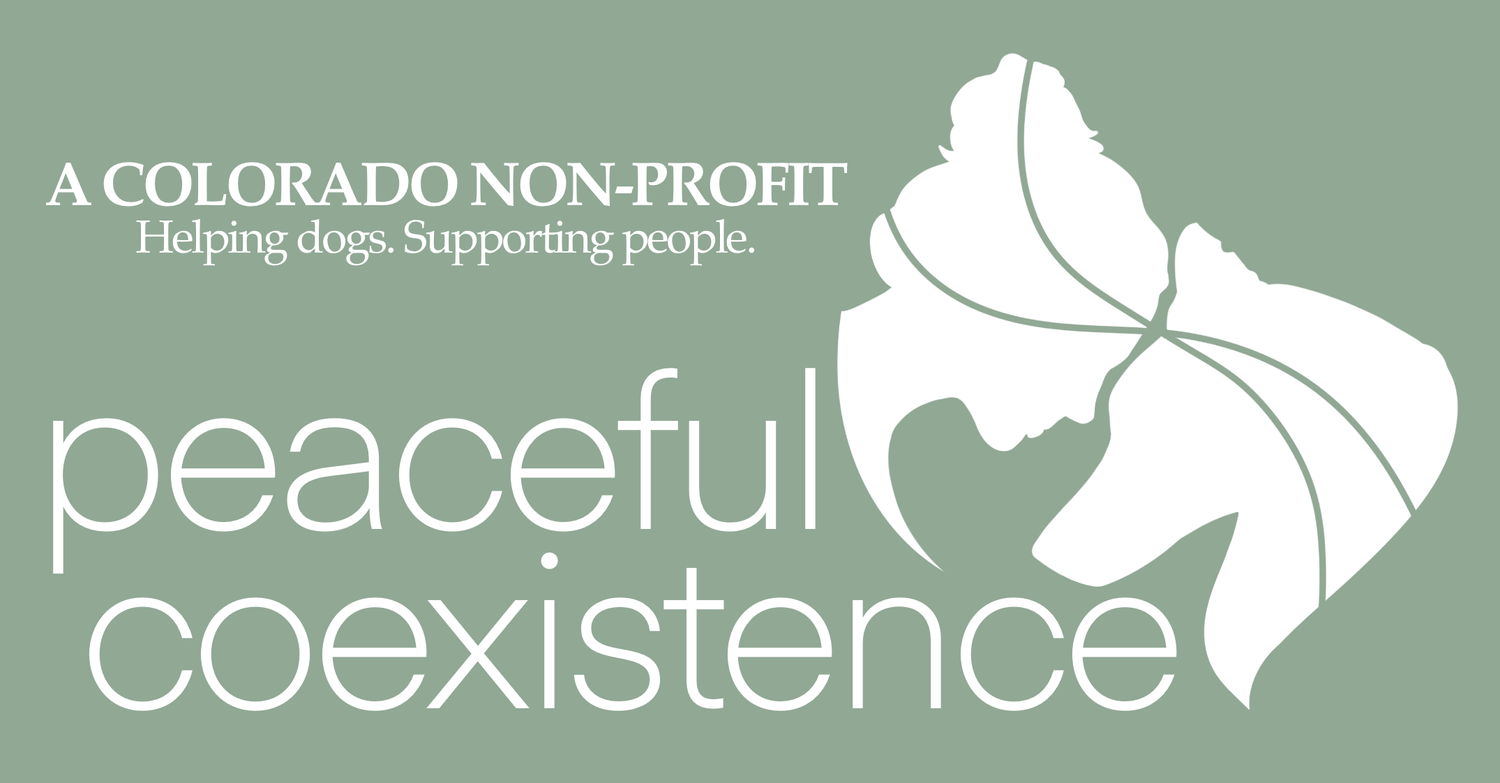 Peaceful Coexistence ltd. logo