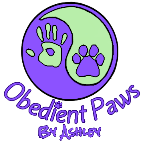 Obedient Paws By Ashley — dog trainer in Aurora, IL