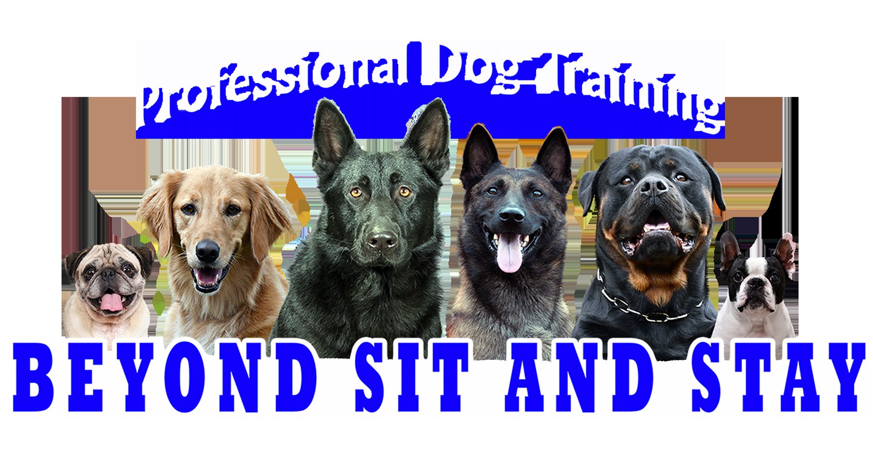 Beyond Sit And Stay Professional Dog Training logo