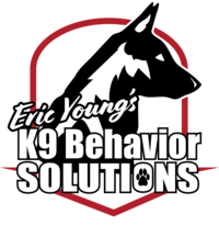 Eric Young’s K9 Behavior Solutions