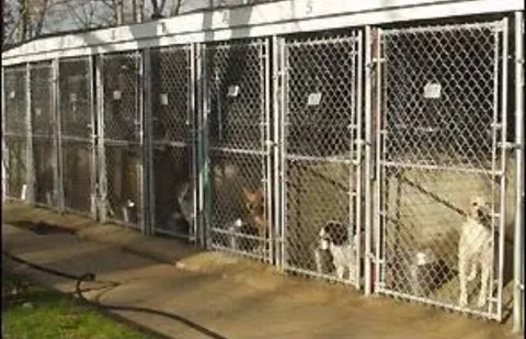 Quail Run Kennels