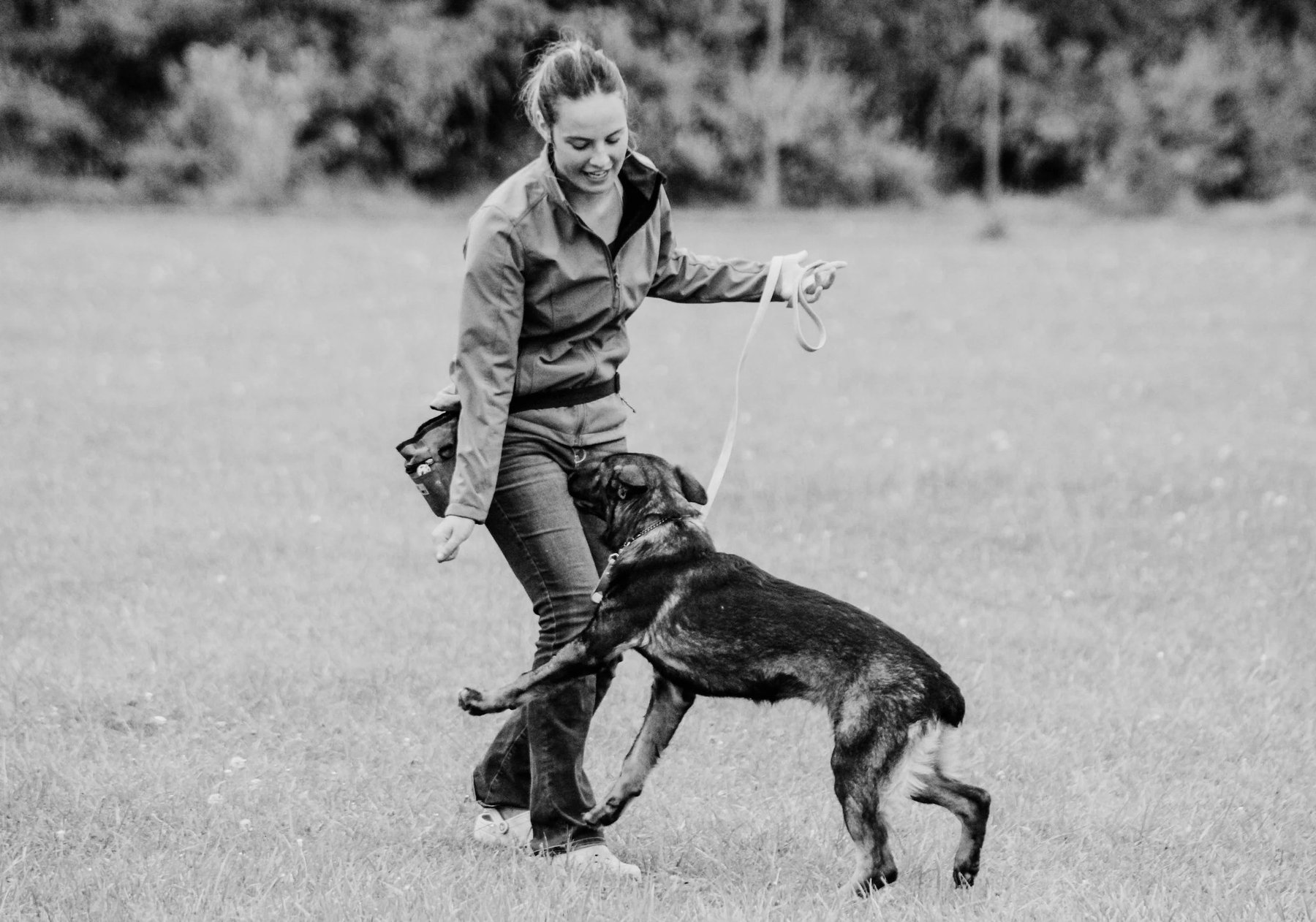 Unleashed Dog Training — dog trainer in Saginaw, MI