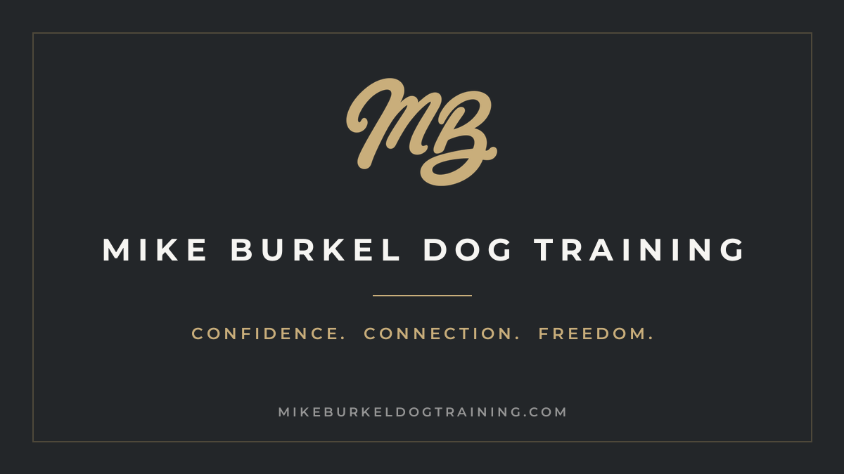 Mike Burkel Dog Training