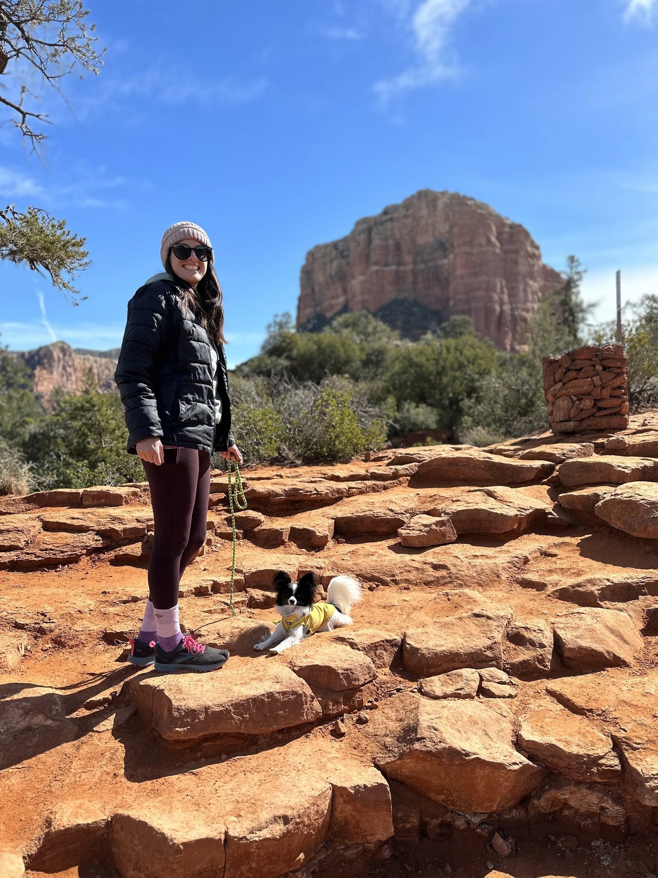 Inertia Canine LLC