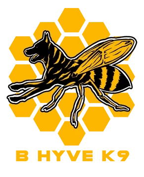 B-Hyve K-9 LLC Dog Training, Boarding and Daycare