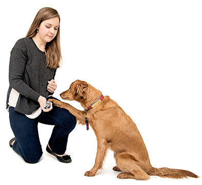 M.D. Dogs Inc
