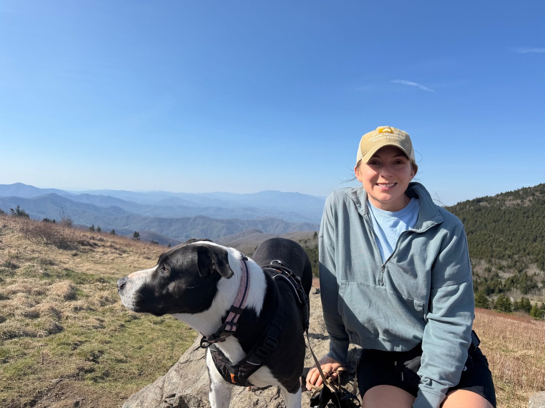 Music City Dog Training