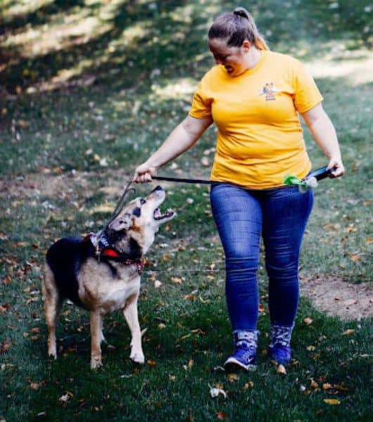 Paws Around Motown — dog trainer in Detroit, MI