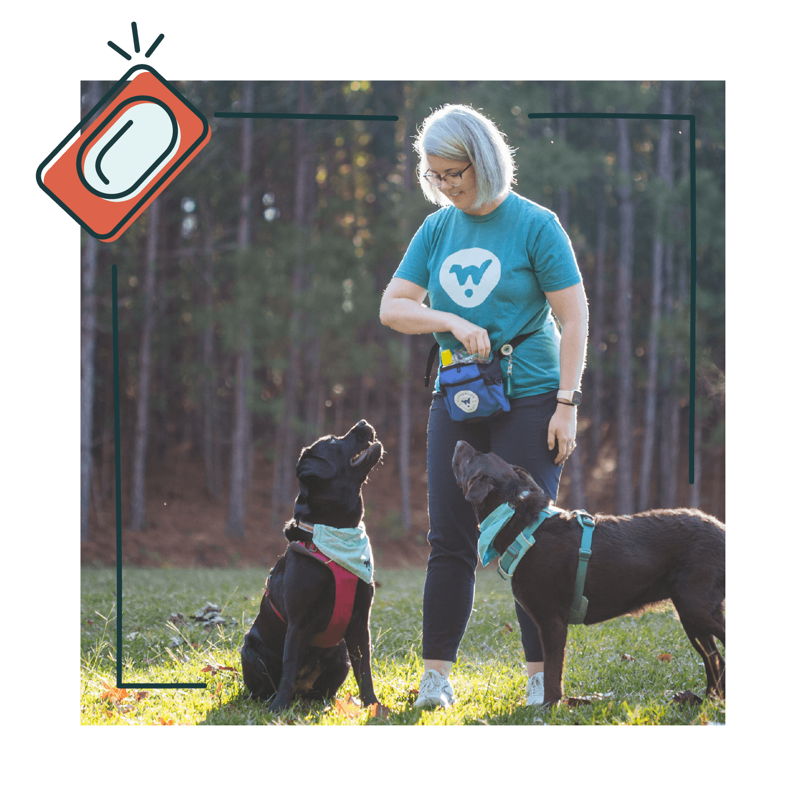 Wonderdog Training, LLC