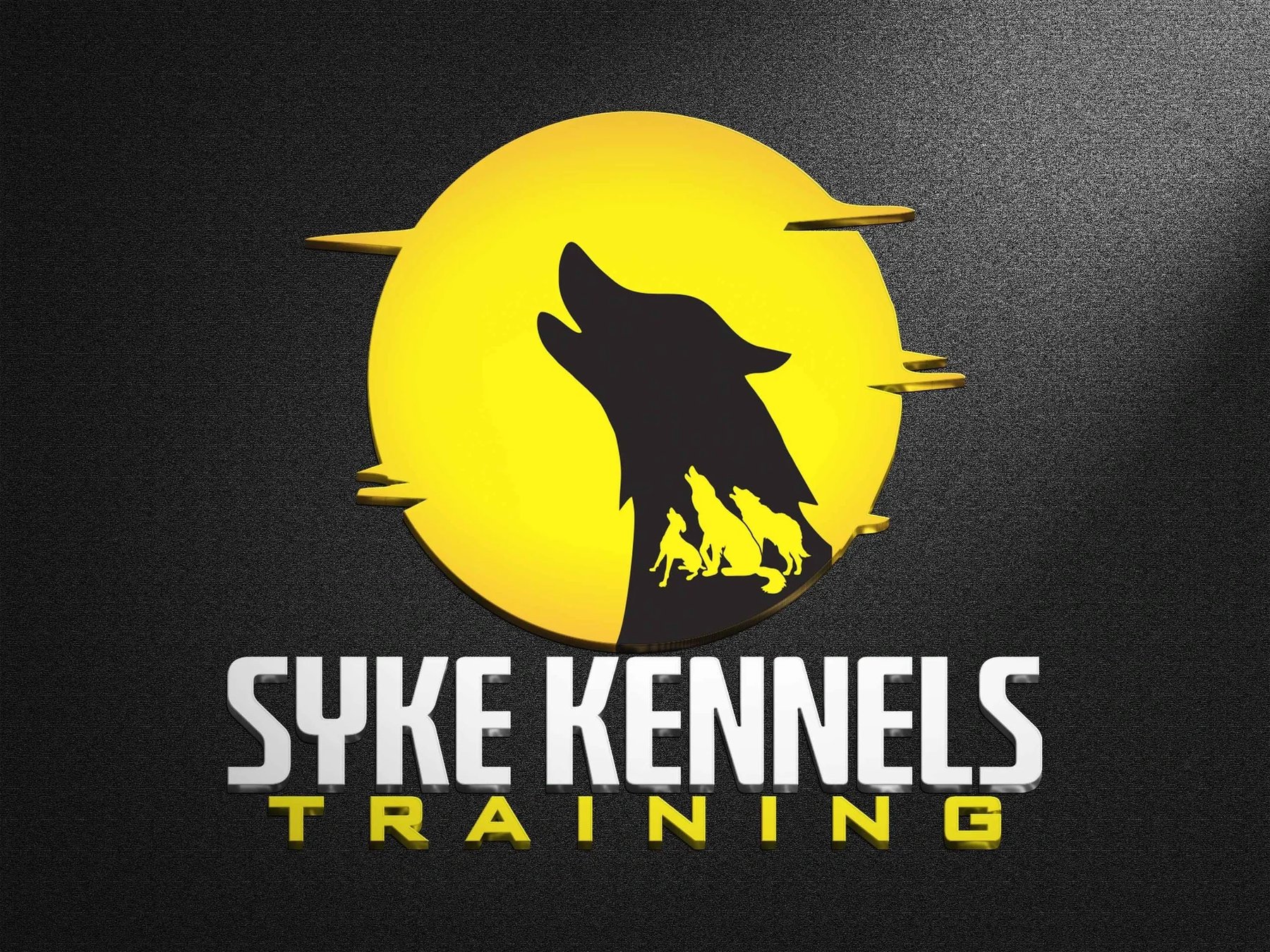 Syke Kennels Training LLC