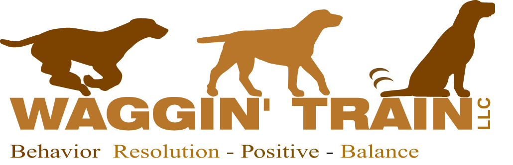 Waggin’ Train LLC
