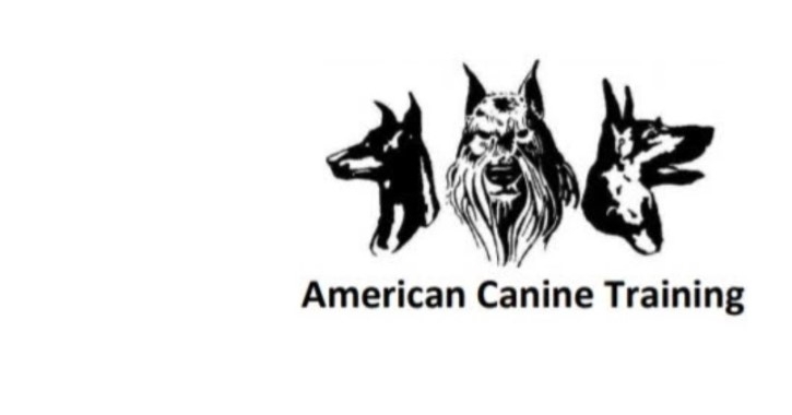 American Canine Training, LLC logo