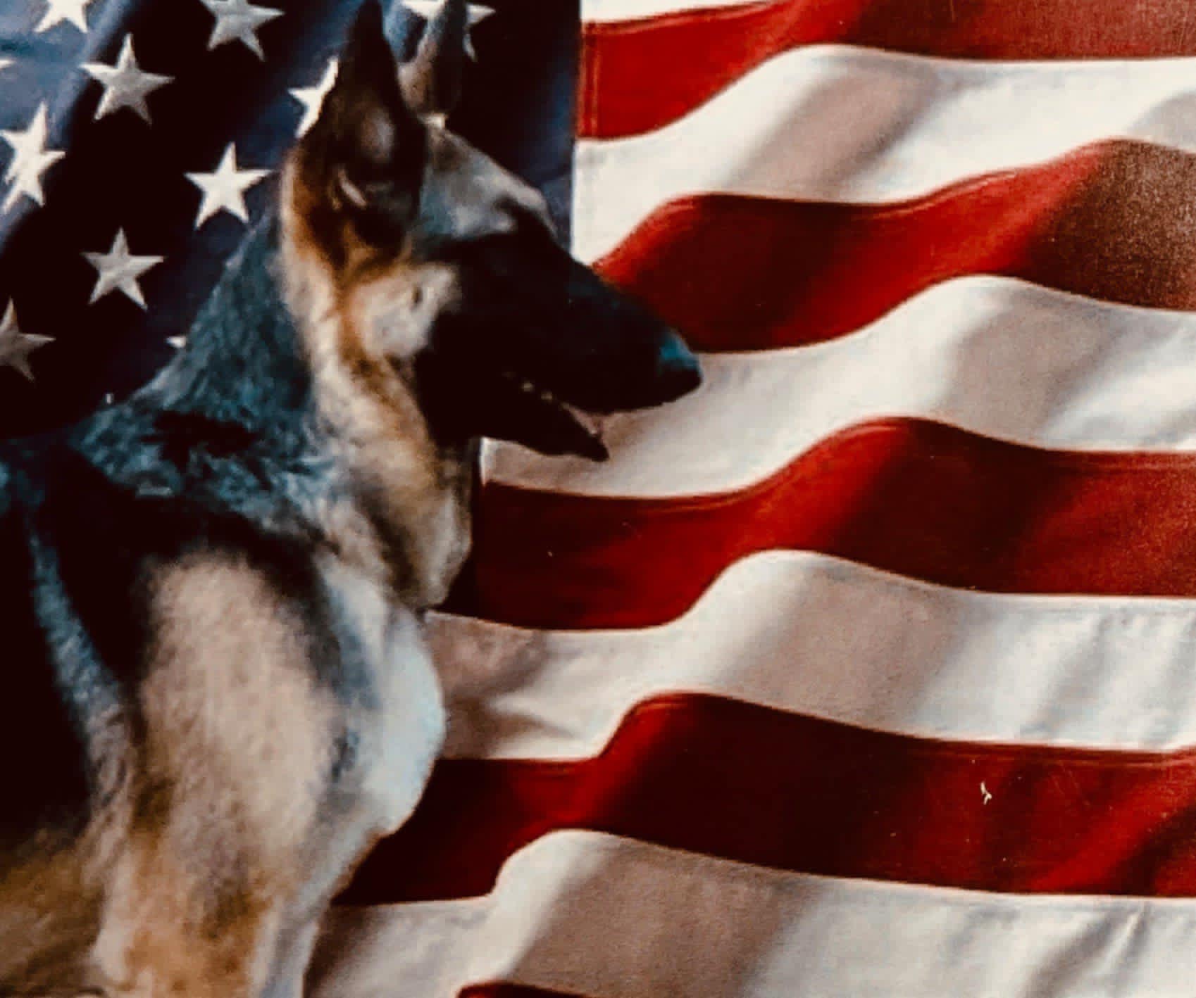 American Canine Training, LLC