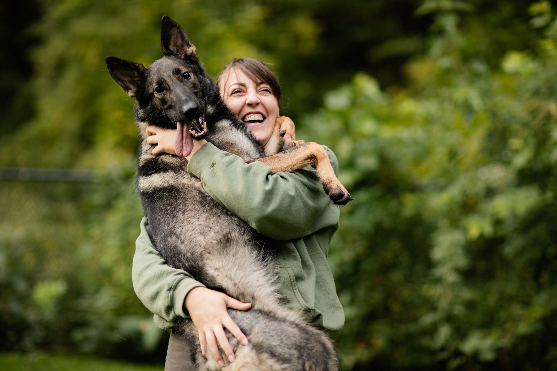 Bohemian K9 Dog Training