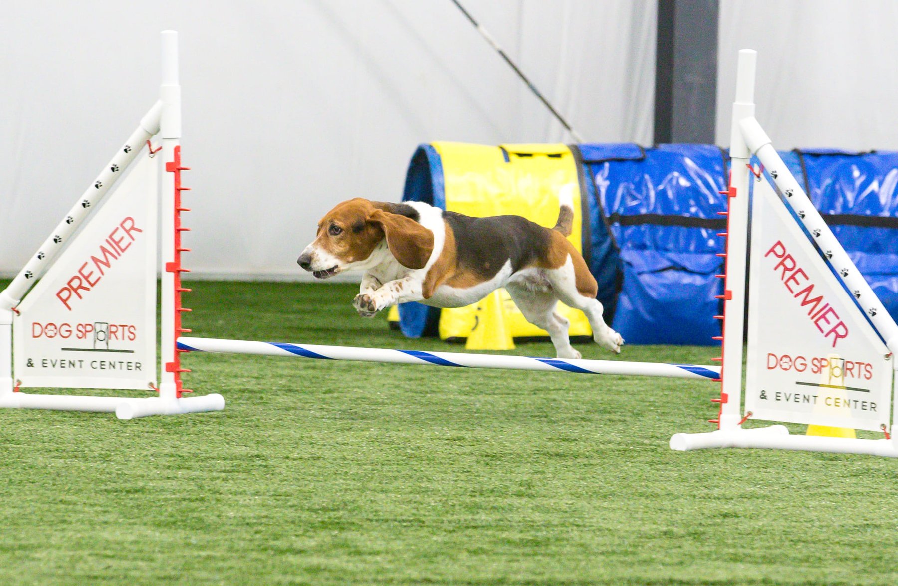 Premier Dog Sports & Event Center LLC