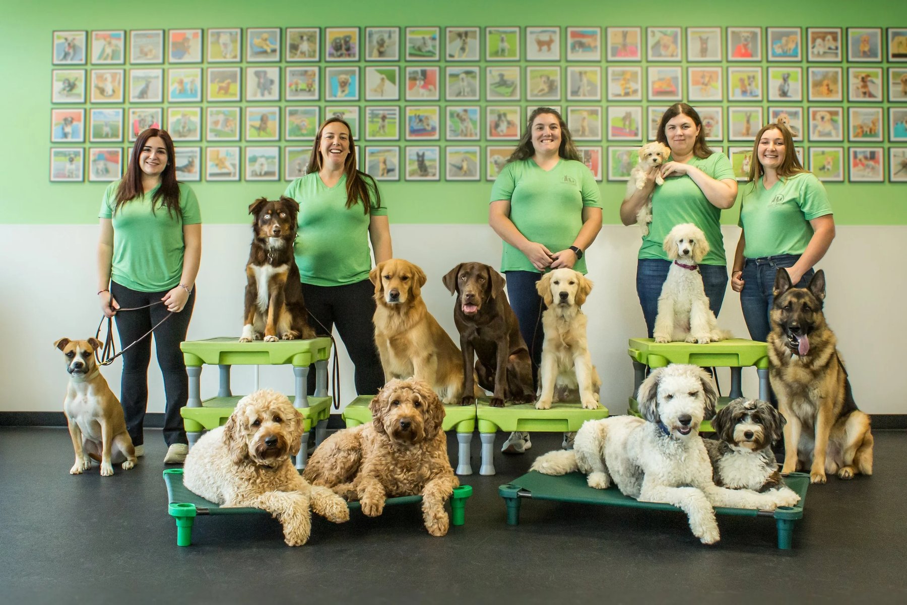 Fresh Canine Training Academy