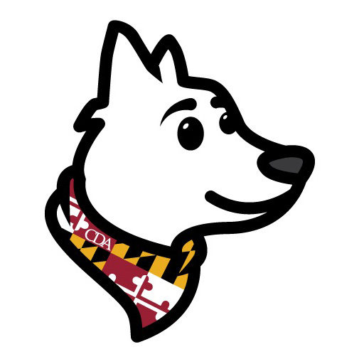 Calvert Dog Training — dog trainer in Denver, CO