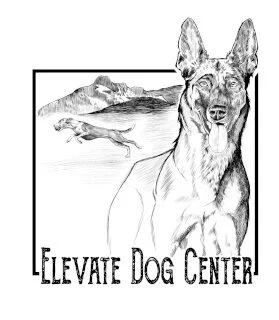 Elevate Dog Center logo