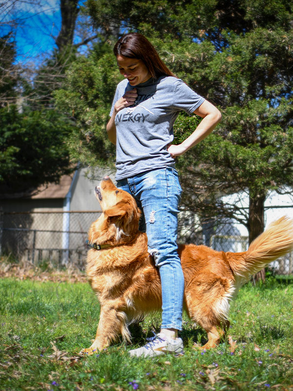 Comeback Dog Training L.L.C.