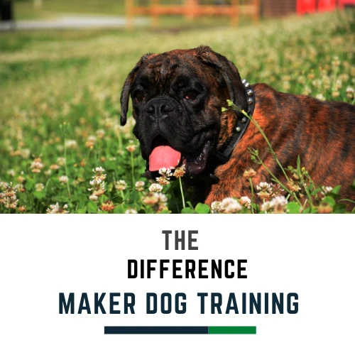 The Difference Maker Dog Trainer