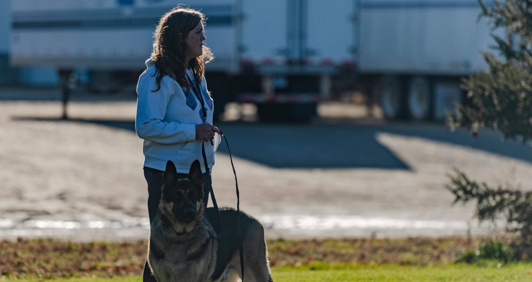 Last Journey K9