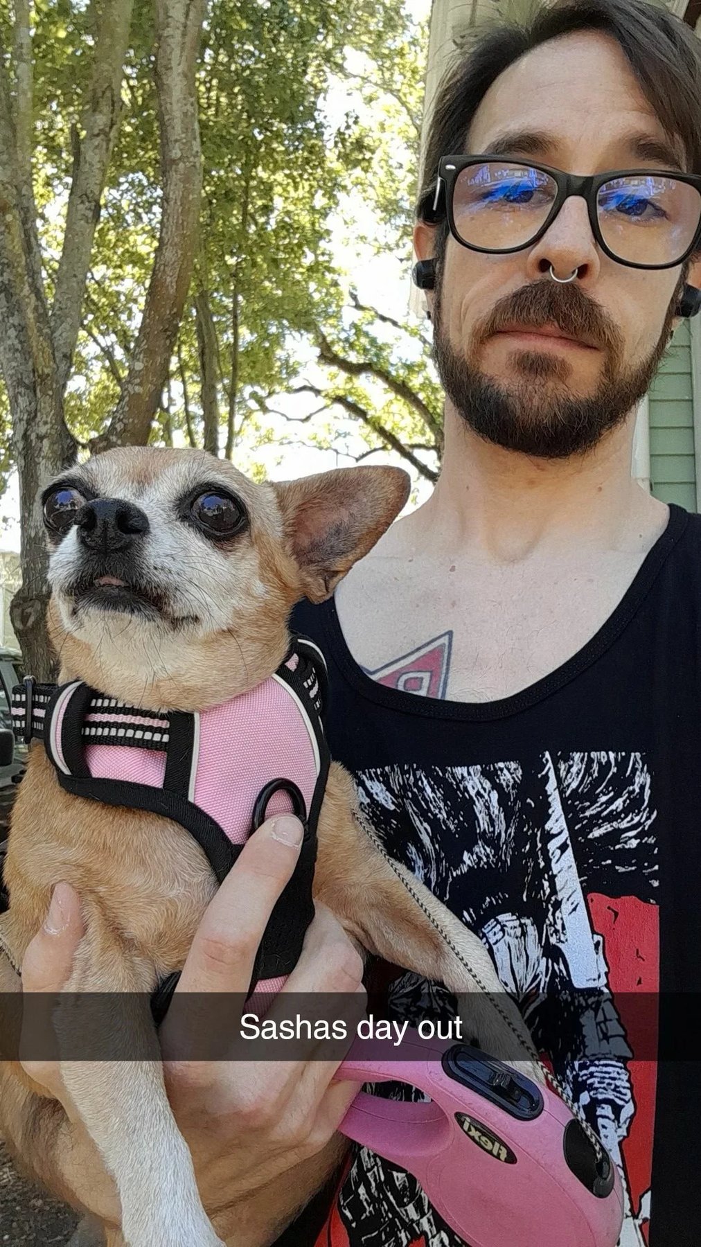 Diamond Dog Training — dog trainer in Savannah, GA