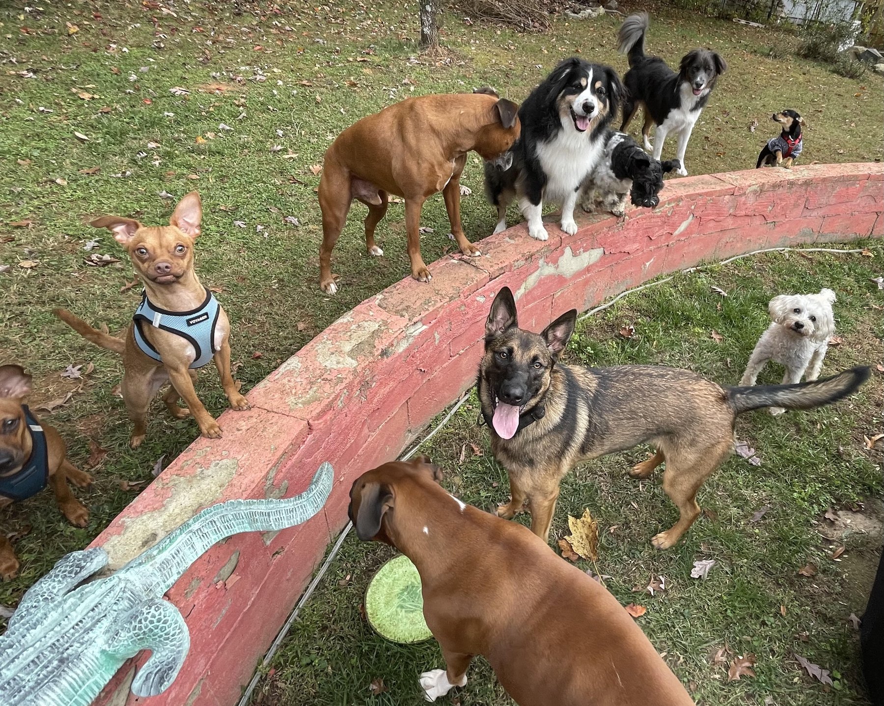 Camp-Ruff