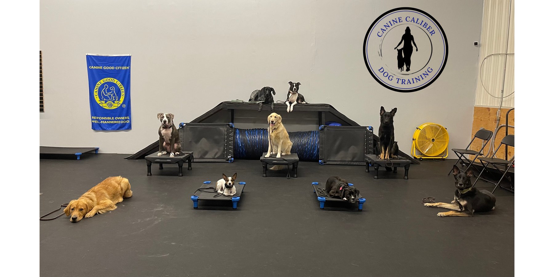 Canine Caliber LLC