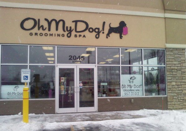 Oh My Dog Daycare & Grooming Spa