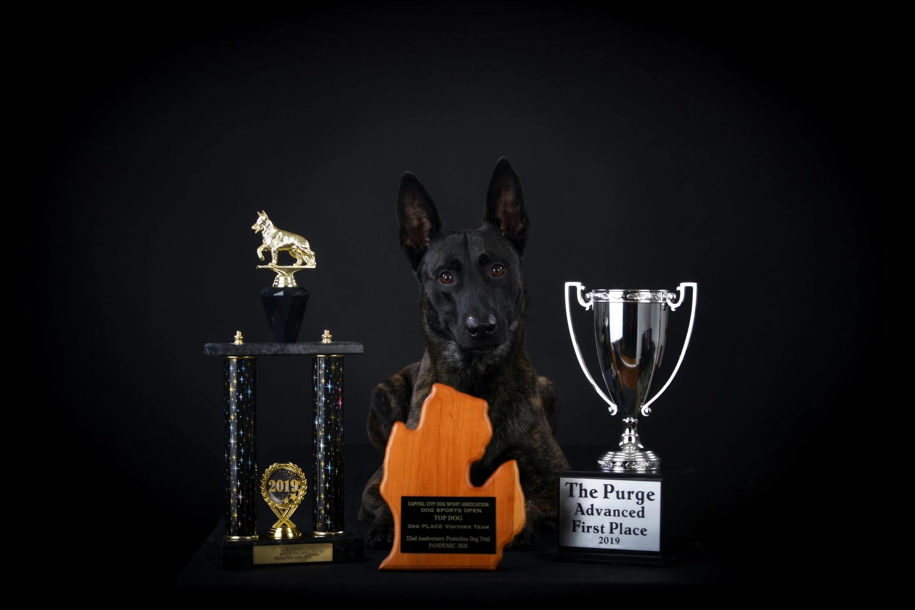 VanNuil Canine