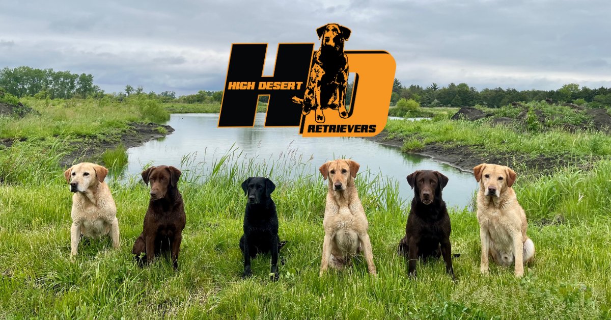 High Desert Retrievers