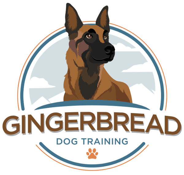 Gingerbread Dog Training