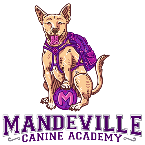 Mandeville Canine Academy logo