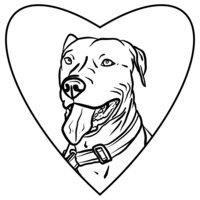 Rad Dogs LLC — dog trainer in Phoenix East Valley, AZ