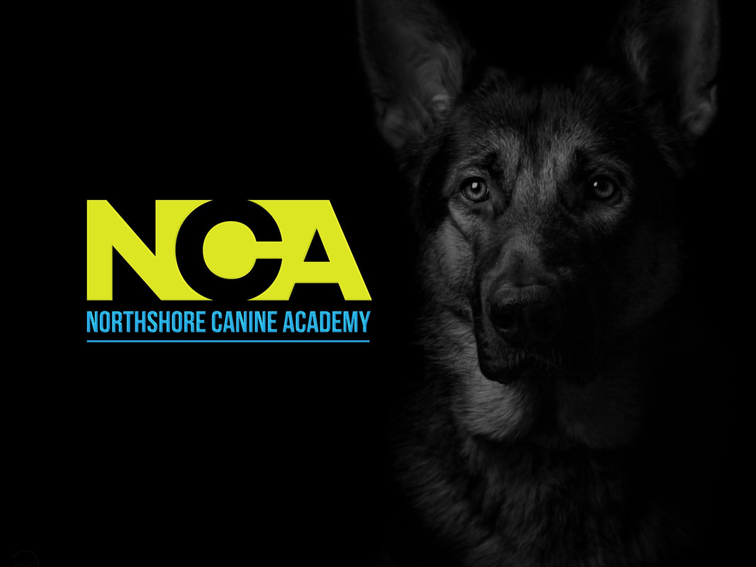 Northshore Canine Academy