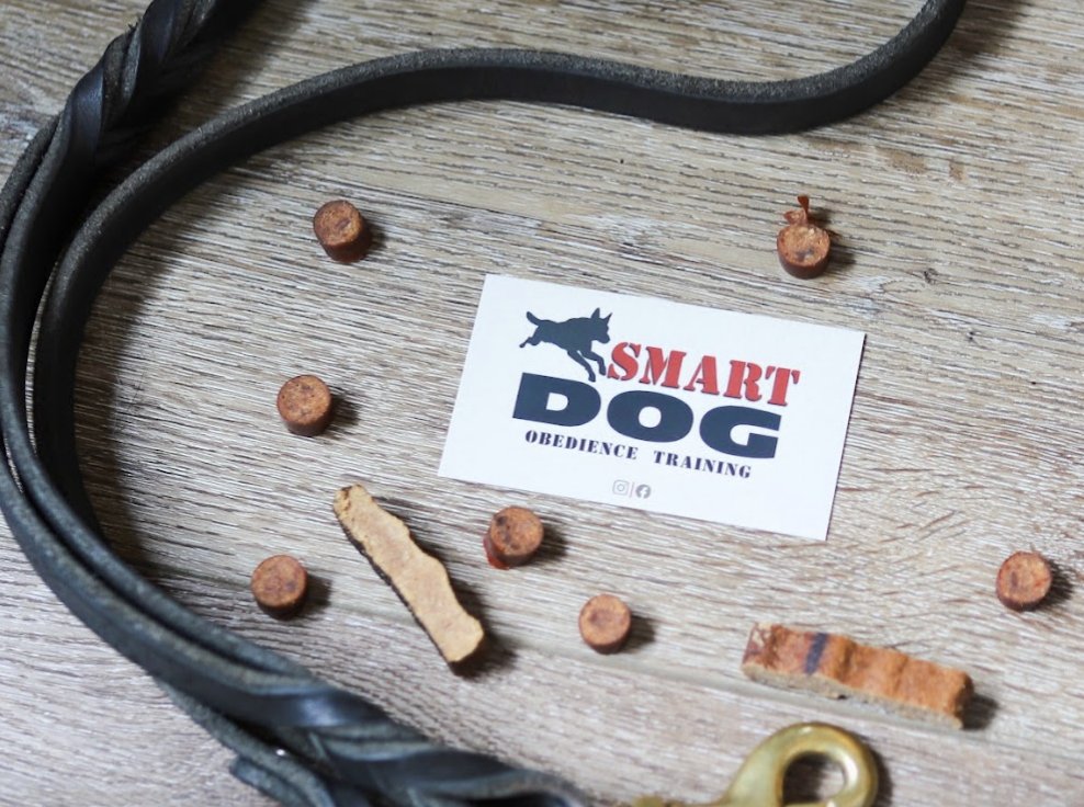 Smart Dog Obedience — dog trainer in Detroit, MI