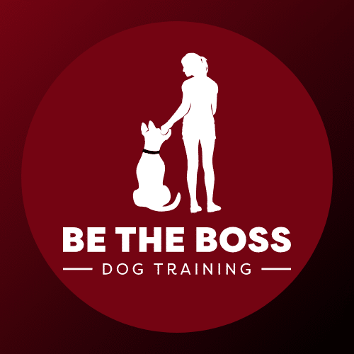 Be the Boss Dog Training