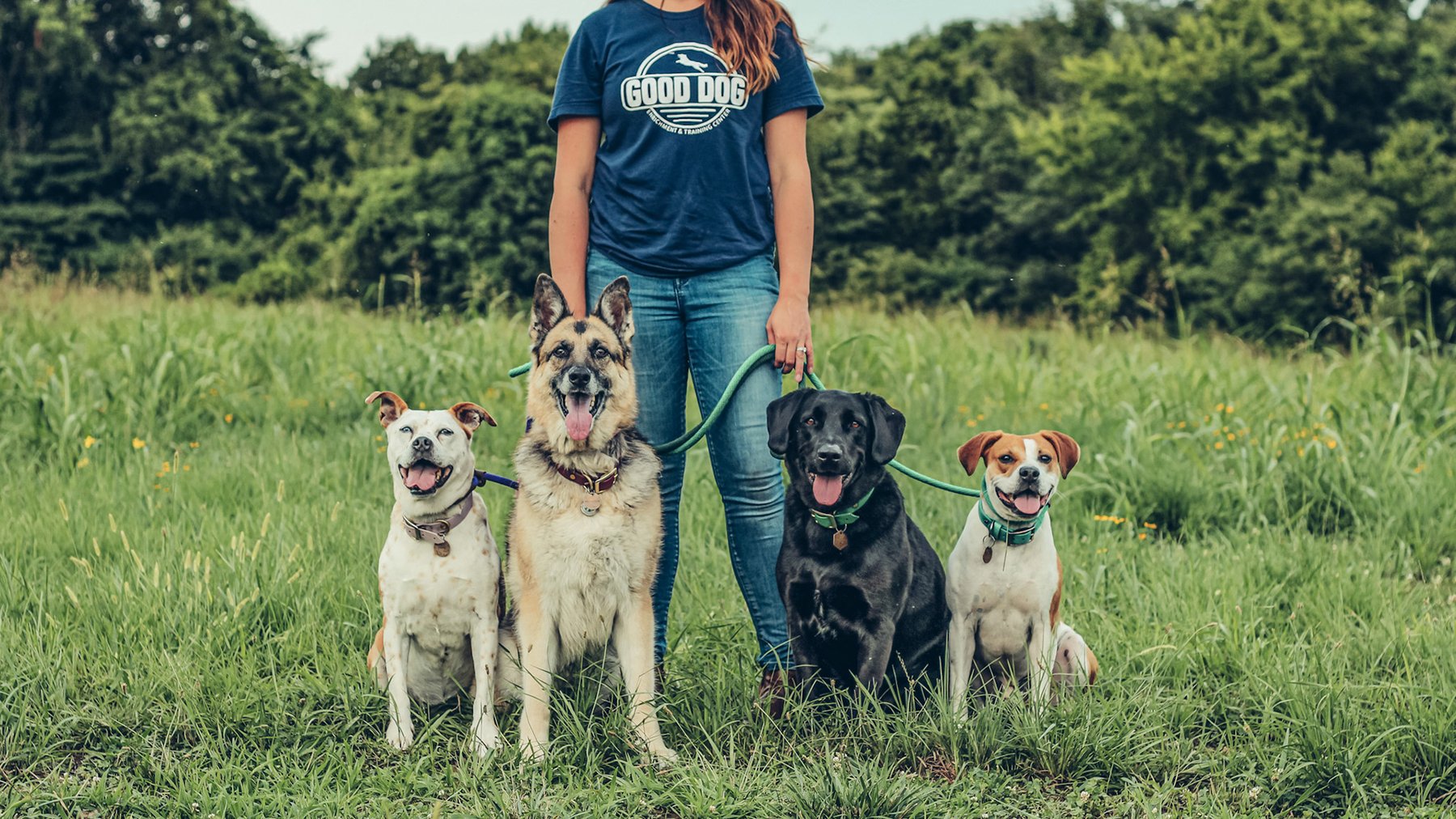 Good Dog Enrichment & Training