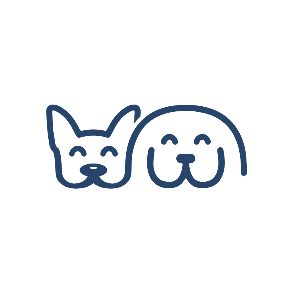 Buster and Whiskers – Dog Walker Astoria