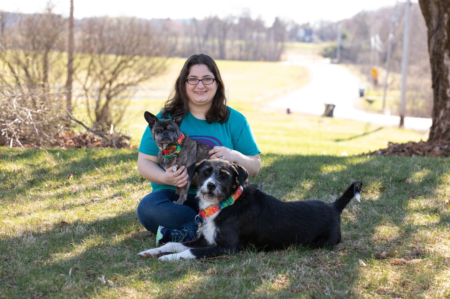 Old Dogs New Tricks Dog Training