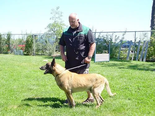 The K-9 Center