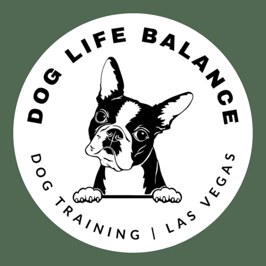 Dog Life Balance | Las Vegas