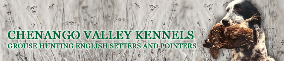 Chenango Valley Kennels logo