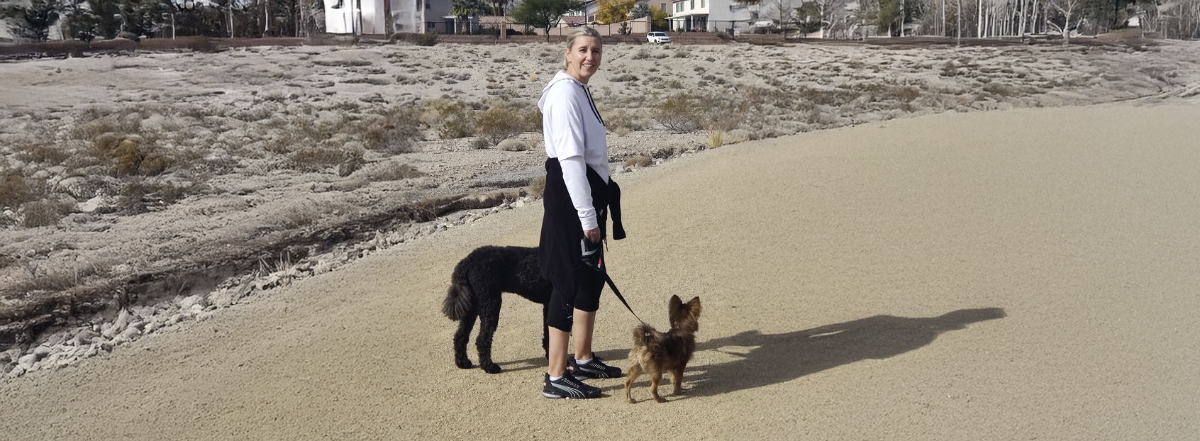 Doggy Zen Wellness