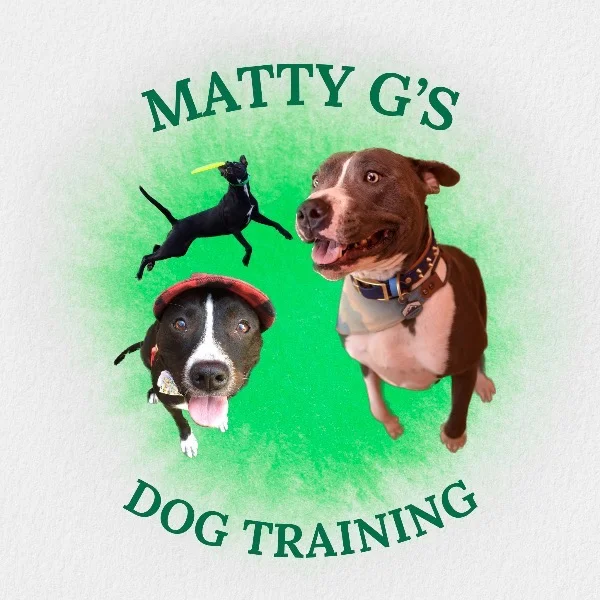 MattyG’s Dog Training — dog trainer in West Metro Phoenix, AZ