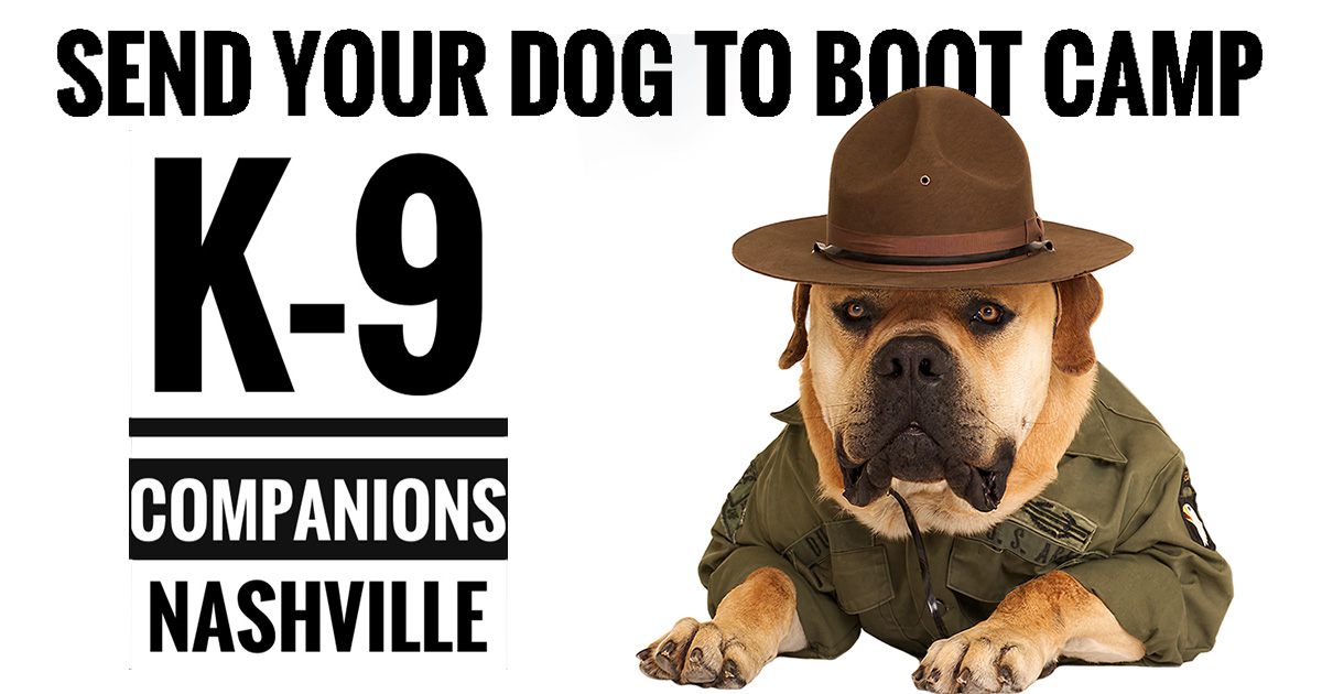 K-9 Companions Nashville logo